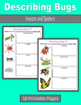 Preview of Describing Bugs - Insects and Spiders