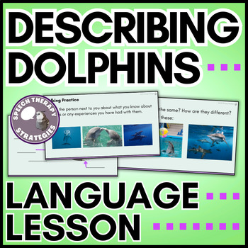 Preview of Describing Dolphins Vocabulary Lesson | Speech Therapy, SPED, & ESL
