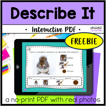 Preview of Describing English FREEBIE Digital NO PRINT Interactive PDF