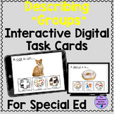 Describing Groups, Categories, Class Digital Task Cards Sp