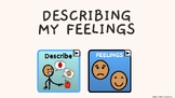 Describing My Feelings withTouchChat