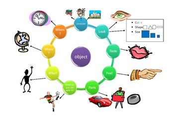 Preview of Describing Objects Graphic Organizer w/ Pictures for Speech Language Therapy ELA