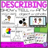 Describing Pictures and Objects Visual Supports & Workshee
