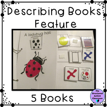 Preview of Describing Pictures by Feature Adapted Books for Special Education Speech