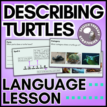Preview of Describing Turtles Vocabulary Lesson | Speech Therapy, SPED, & ESL
