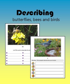 Preview of Describing Butterflies, Bees and Birds - Nature Photos