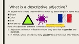 Descriptive Adjectives & B.A.N.G.S PowerPoint