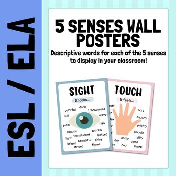 Preview of Descriptive Language Word Posters | 5 Senses Classroom Decor