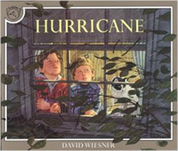 Preview of Descriptive Poetry (3 weeks) based on Hurricane by David Wiesner
