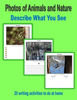 Preview of Descriptive Writing - Animals and Nature