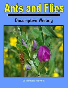 Preview of Descriptive Writing - Ants and Flies