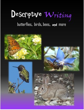 Preview of Descriptive Writing - Butterflies, Birds, Bees