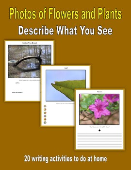 Preview of Descriptive Writing - Flowers and Plants
