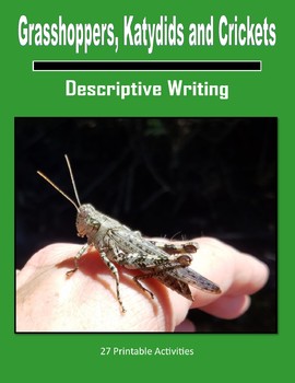 Preview of Descriptive Writing - Grasshoppers, Katydids and Crickets