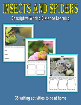 Preview of Descriptive Writing - Insects and Spiders