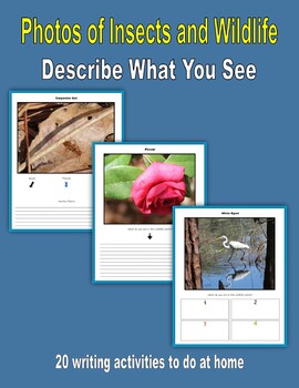 Preview of Descriptive Writing - Insects and Wildlife