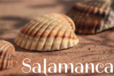 Descubre Salamanca•Hasta la Sepultura•Casa de Conchas•Dist