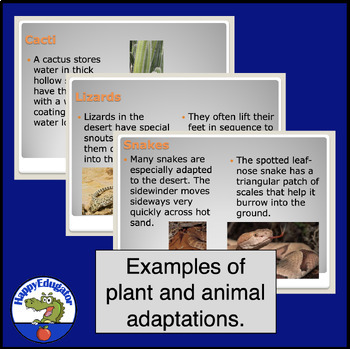 desert adaptations powerpoint preview