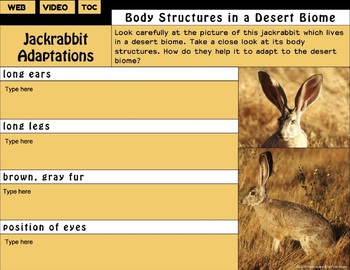 Desert Animal Adaptations Interactive Notebook for Google Slides®