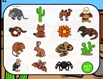 Desert Animal Gross Motor Game by Pink Oatmeal -Movement for the Classroom