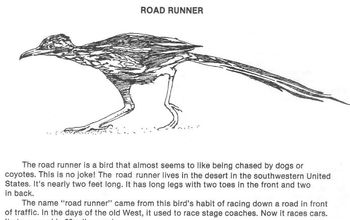 Preview of Animal of the Desert ROAD RUNNER w/ 4 Multiple Choice Reading Comprehension Qs