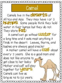 Desert Animals - A First Grade Literacy Center by Leslie Stephenson