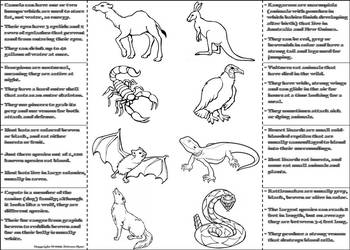 Desert Animals Activity: Interactive Notebook Foldable/ Coloring Book