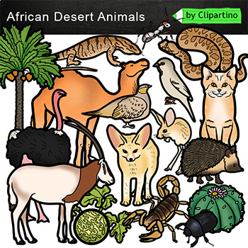 Preview of Desert Animals Clip art Commercial use /African Desert Habitats Clip Art