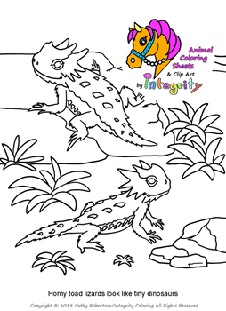   Desert Animal Coloring Pages  Best Free