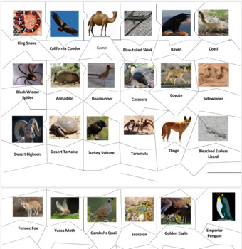 desert animals with names chart