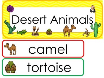 Preview of Desert Animals Word Wall Weekly Theme Bulletin Board Labels.