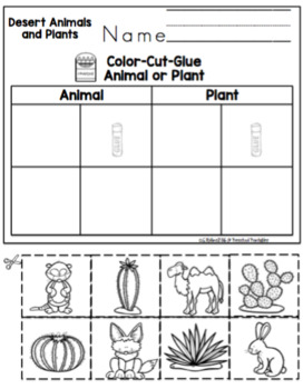 Desert Animals "No Prep" by Preschool Printable | TpT