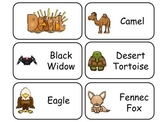 Desert Animals Picture Word Preschool Flash Cards.