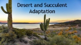 Desert Animals and Plants Google Slide