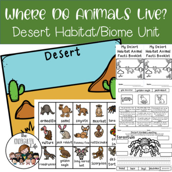 Preview of Desert Animals Habitat Activities
