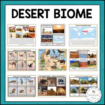 Preview of Desert Biome Characteristics Animal Plant Adaptations Information Cards