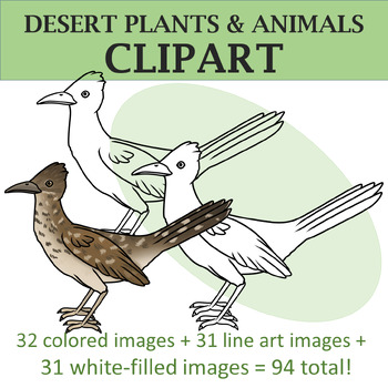 desert plants and animals clip art