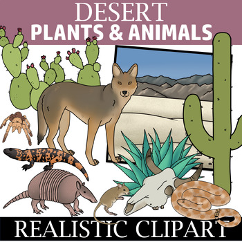 Preview of Desert Clipart - Plants and Animals of the Desert Ecosystem Clip Art