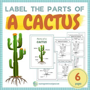 Preview of Desert Biome - Label the Parts of A Cactus: 4 worksheets & 2 posters