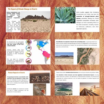 Desert Biomes Features, Adaptations and Impacts - Google Slides ...