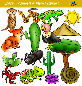 Desert Clipart Set - Desert Animals and Elements | TPT
