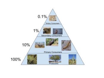 Preview of Desert Energy Pyramid