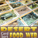 Food Chain and Food Web: Desert Food Card Sort