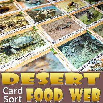Preview of Food Chain and Food Web: Desert Food Card Sort