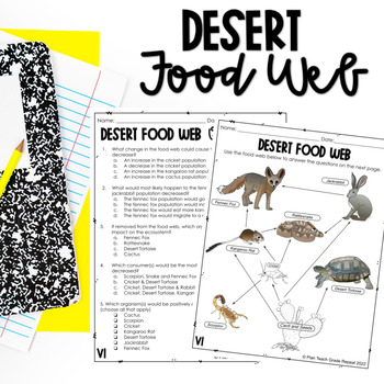 Desert Food Web Teaching Resources | TPT