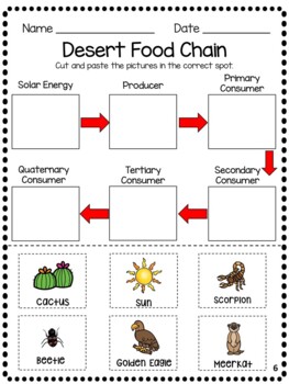 Desert Food Chains and Interdependence Worksheets by First Grade ...