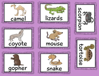 Desert Animals Anchor Chart by The Kindergarten Life | TPT