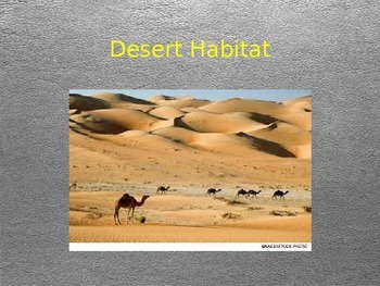 Preview of Desert Habitat PowerPoint