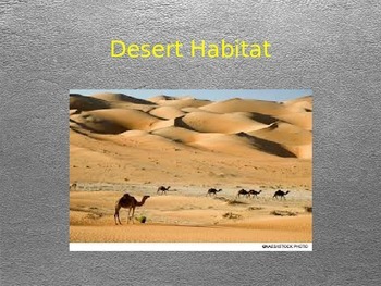 desert habitat for kids