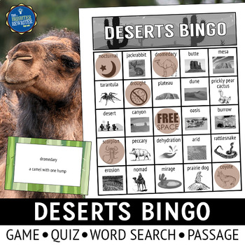 Preview of Deserts Bingo Game and Activities